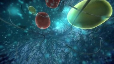 Robot hücre içi manipülasyon. Tek Hücrenin İçinde 3B Navigasyon ve Ölçüm