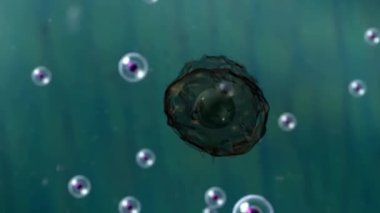 Hücre Sistemlerinin moleküler anatomisi, Mutasyona uğramış hücre