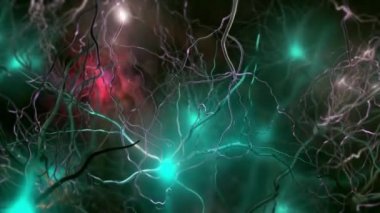 Nöronlar sinir sisteminin birincil bileşenleridir, onlara yapısal ve metabolik destek sağlayan glial hücrelerle birlikte..