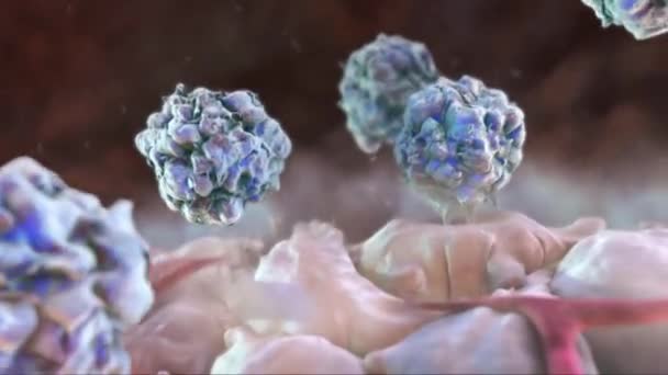 Microbiology Animation Macrophages Ingest Infected Microbes — Stock Video