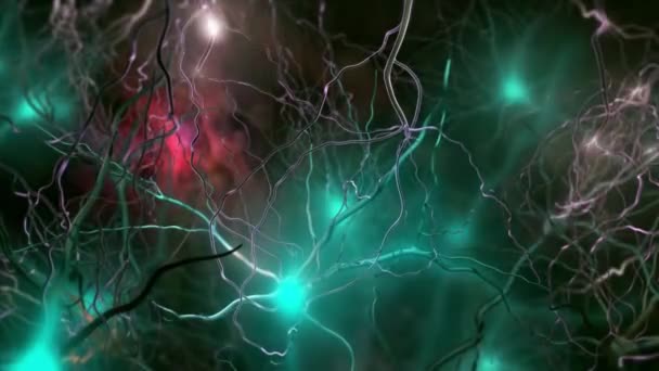 Les neurones sont les principaux composants du système nerveux, ainsi que les cellules gliales qui leur apportent un soutien structurel et métabolique. .