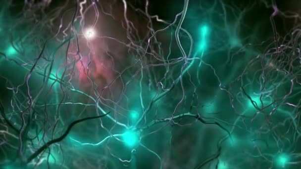 Nervsystemet Överförs Neurons Elektriska Eller Kemiska Signal Till Annan Neuron — Stockvideo