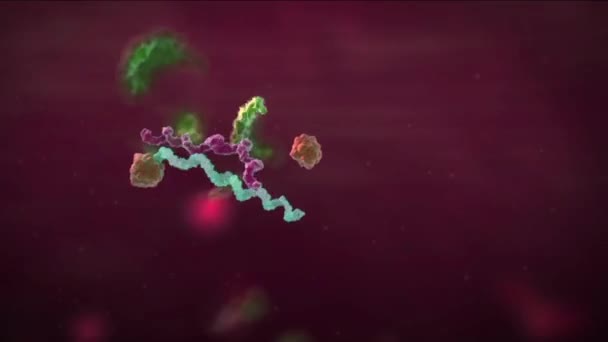 Un changement de virus de façon est appelé dérive antigénique 