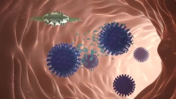 幹細胞の自己更新のメカニズム 再生細胞 — ストック動画