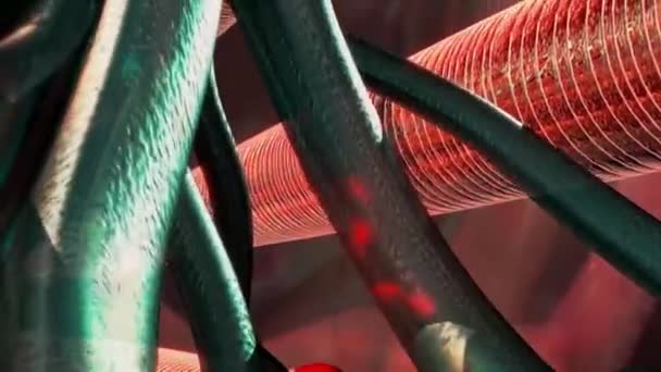 クロストリジウム テターニの神経毒 — ストック動画