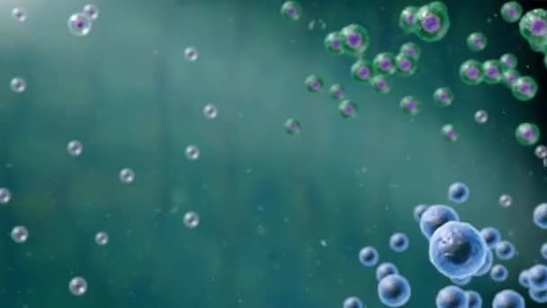 Bağışıklık Sistemindeki Virüs — Stok video