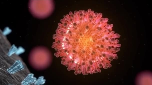 Bağışıklık Sistemindeki Virüs — Stok video