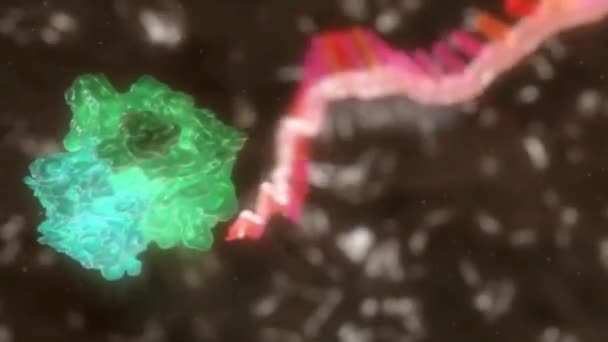 免疫系统中的病毒 — 图库视频影像