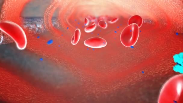 睾丸激素在睾丸中产生 并在载体蛋白如血清白蛋白结合球蛋白中循环 它被动地通过目标细胞的细胞膜扩散 — 图库视频影像