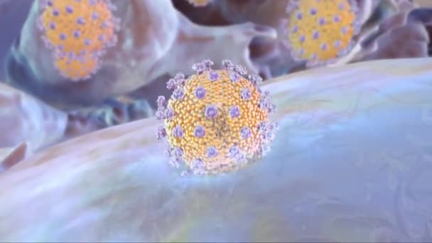 Virus Människans Kropps Immunsystem — Stockvideo