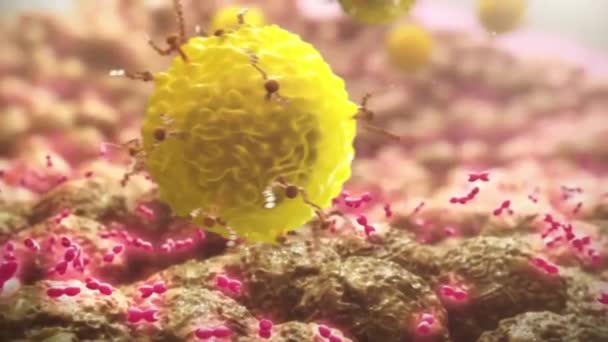 Molecular Biology Cell Asosiasi Sel Normal Dengan Protein — Stok Video