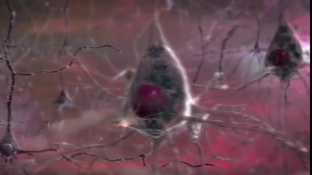 Animación Médica Neuronas Cerebro — Vídeo de stock