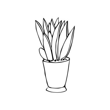 Esrardaki tek siyah-beyaz çizim evi bitkisi beyaz arka planda izole edilmiş.