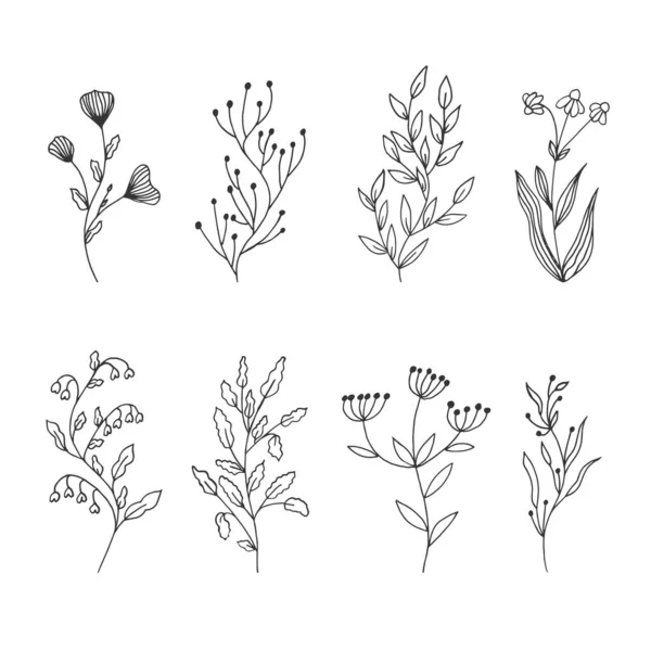 Collection Croquis Floraux Base Plantes Ensemble Fleurs Vectorielles Branches Avec — Image vectorielle