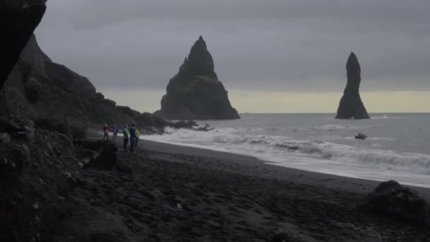 VIK,アイスランド, 2019年10月10日黒い砂浜とトロールの指 — ストック動画