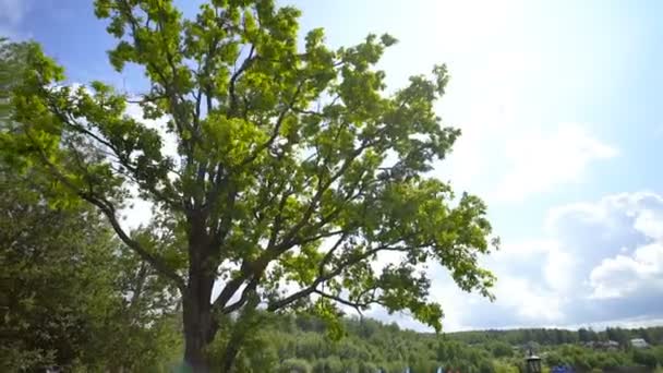 SILICHY, BELARUS - 2 sierpnia 2019: Zespoły zebrane pod starym drzewem czekają na rozpoczęcie konkursu — Wideo stockowe