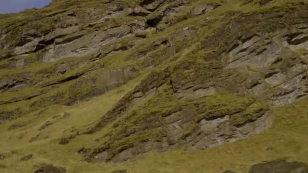 山の緑の草で覆われたビュー。観光客は彼の車から山を調べる — ストック動画