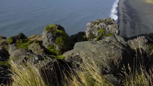 Schwarze Steine auf der Klippe von Cape Dyrholaey, Island. Blick aus großer Höhe auf die Ebene und den Ozean in der Ferne. — Stockvideo