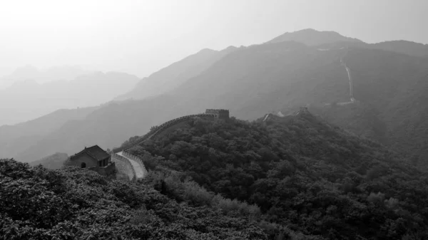 La gran muralla que protege la frontera a través de las montañas rodeadas de denso bosque, sección Mutianyu, Beijing, China. Foto en blanco y negro — Foto de Stock