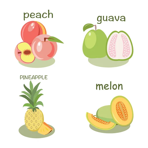 Персик, гуава, дыня, ананас — стоковый вектор