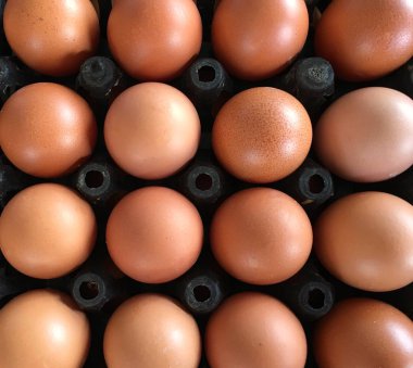 Üstten Görünüm portre siyah kap içinde organik yumurta.