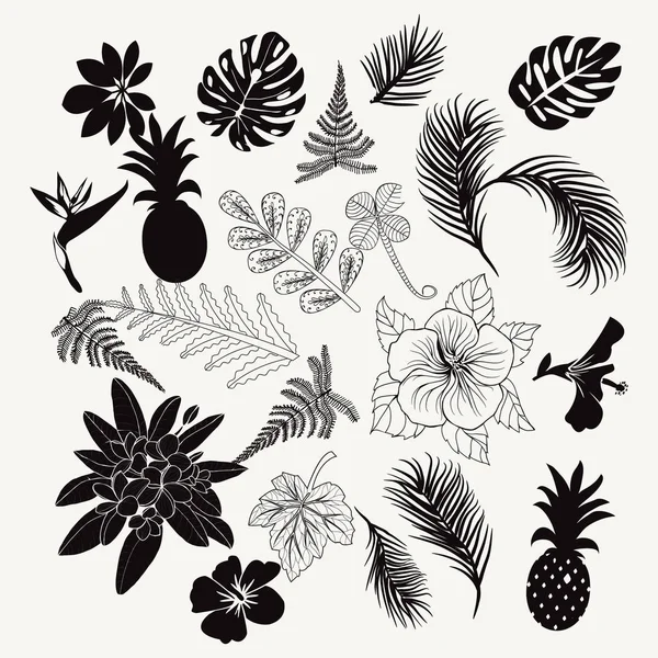 Colección vectorial de plantas tropicales, hojas y flores aisladas — Archivo Imágenes Vectoriales