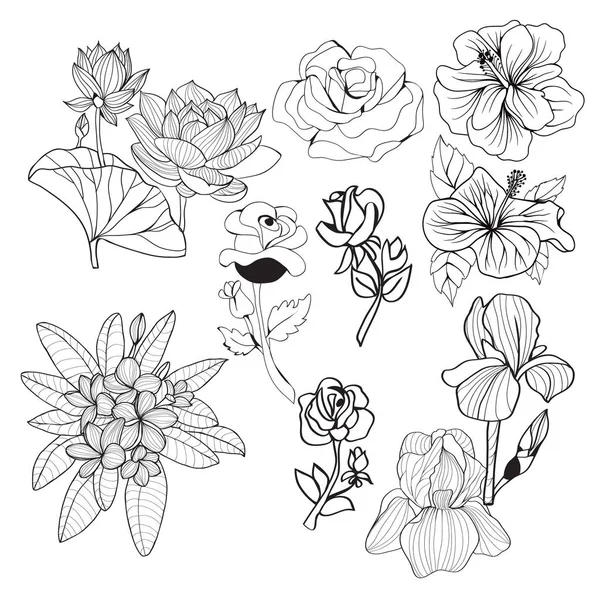 Colección de dibujo a mano flores en blanco y negro illus monocromo — Vector de stock