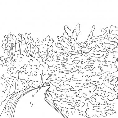 Park road ve ağaçlar grafik siyah beyaz manzara kroki