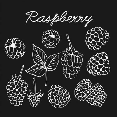 Ahududu grafik kroki çizim 