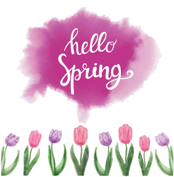 Watercolor tulips and hand drawn Lettering text hello spring — Stock Vector