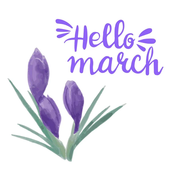 Lente aquarel violet Krokussen en belettering tekst Hallo maart — Stockvector