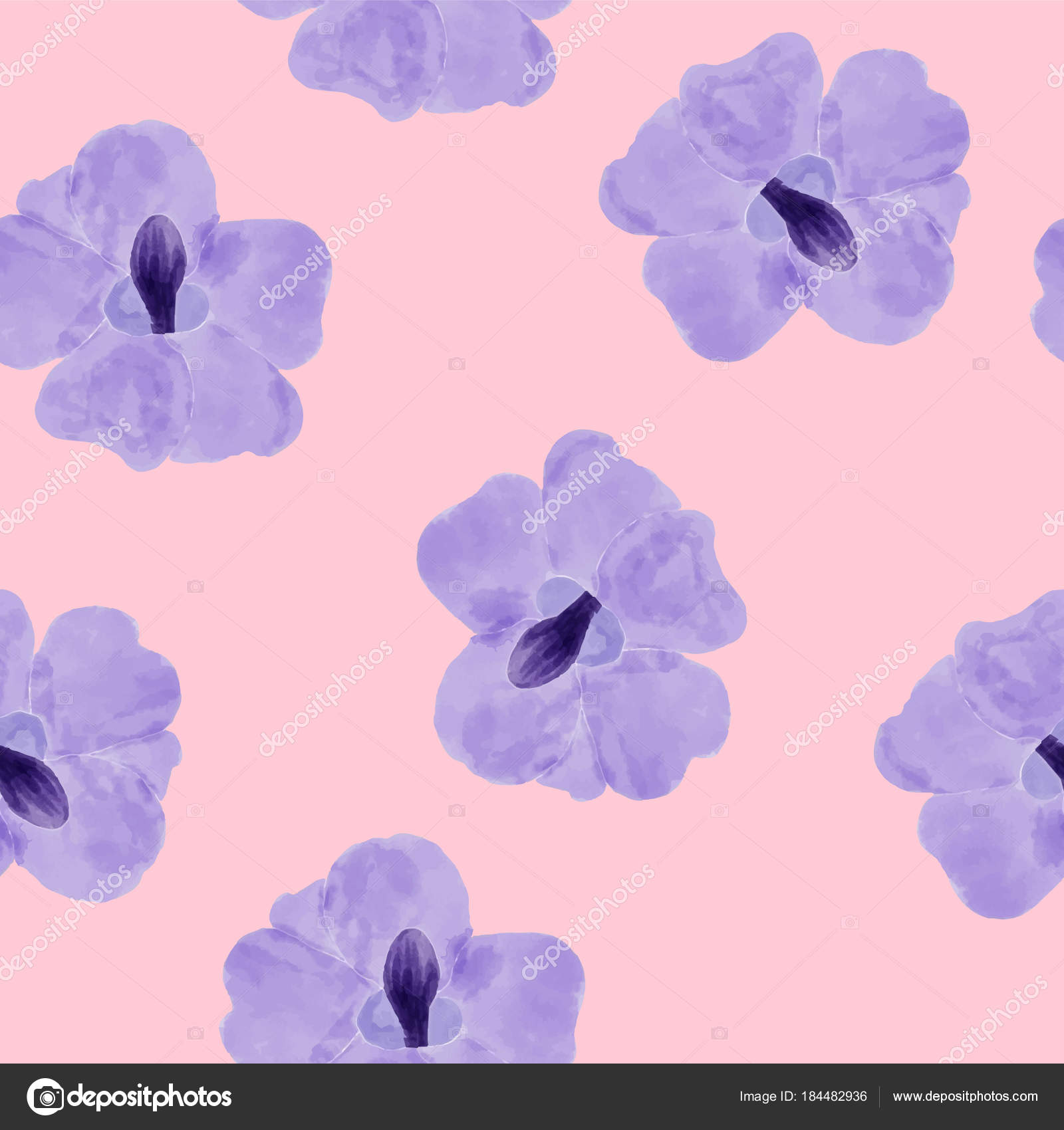 すべての美しい花の画像 上花 紫色 イラスト