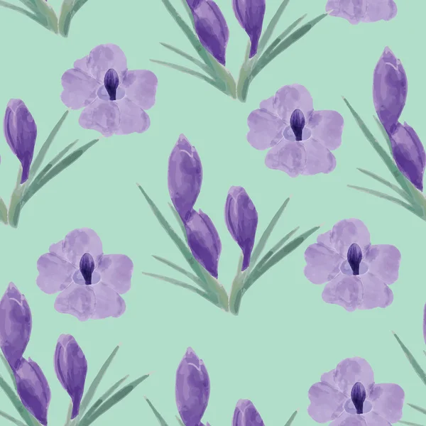 Belle orchidée violette et crocus fleurs illustration — Image vectorielle