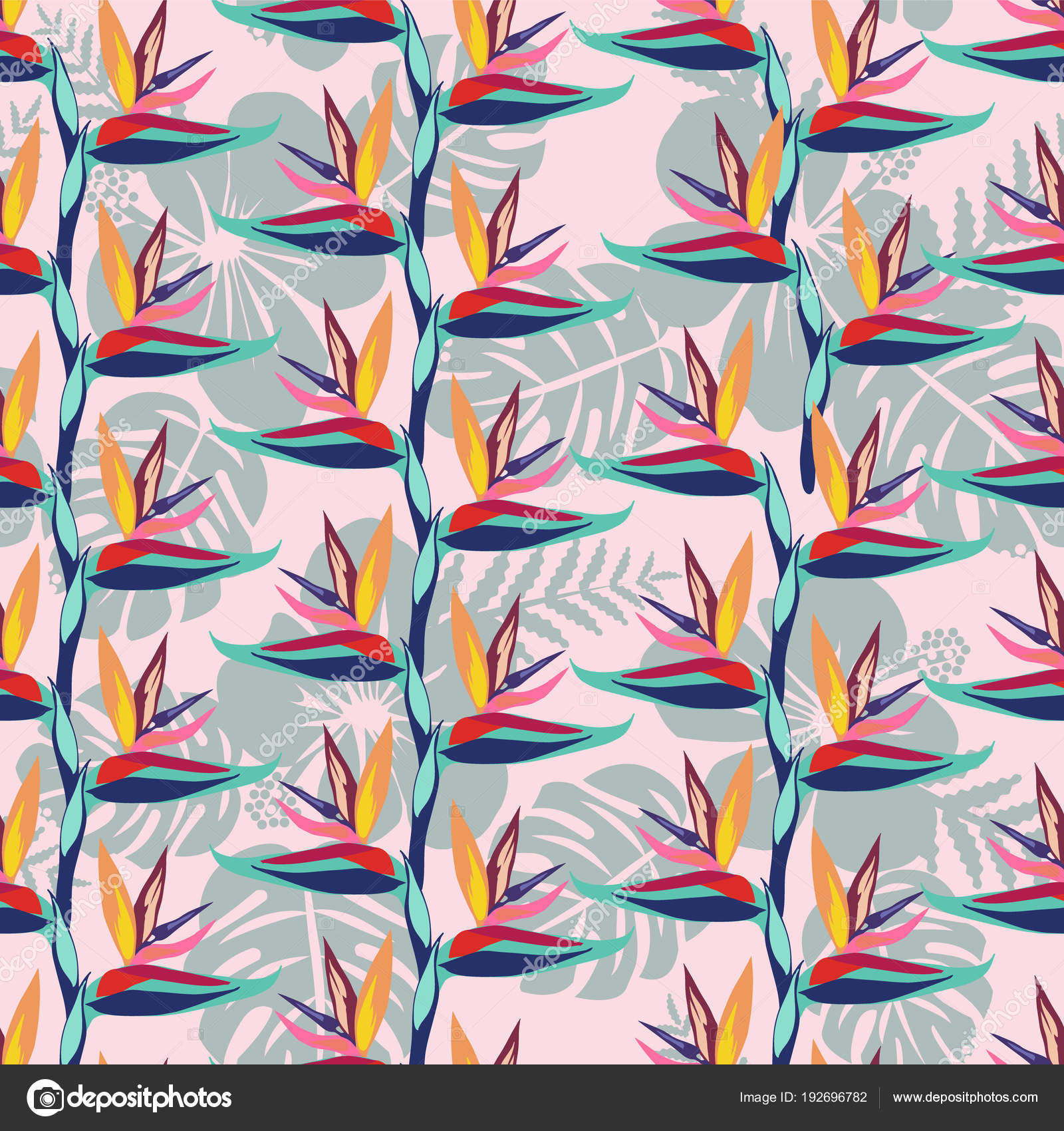 La Fleur Oiseau De Paradis Strelitzia Est Seamles De Fleurs