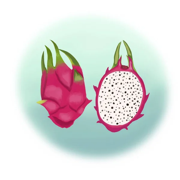 Dragon fruit Half of the cut fruit. Hand drawn illustration of whole and half of Ripe exotic Dragon fruit.