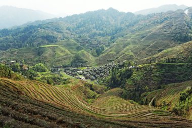 Guilin, Çin, 24 Mart 2014, Jinkeng Teras, Guilin, Çin