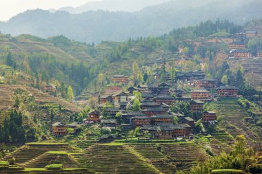 Guilin, Çin, 24 Mart 2014, Jinkeng Teras, Guilin, Çin