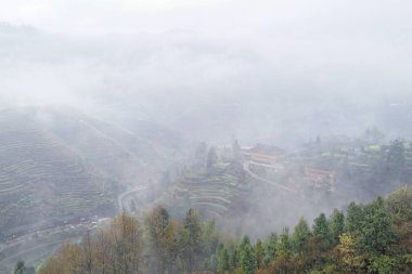 Guilin, Çin, 24 Mart 2014, Jinkeng Teras, Guilin, Çin