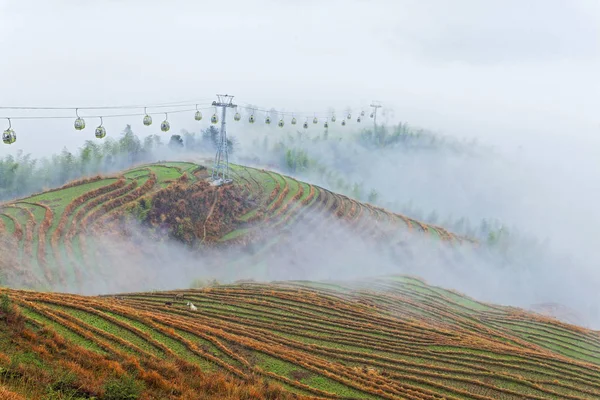 Guilin, China, 24 de março de 2014, Jinkeng Terrace, Guilin, China — Fotografia de Stock