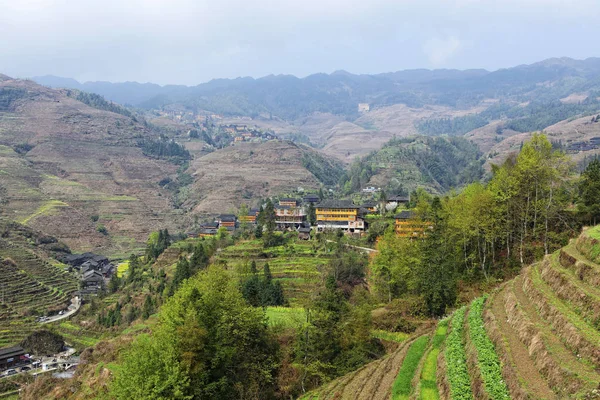 Guilin, China, March, 24th, 2014, Jinkeng Terrace, Guilin, China — стоковое фото