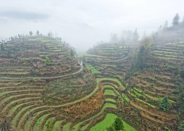 Guilin, China, March, 24th, 2014, Jinkeng Terrace, Guilin, China — стоковое фото