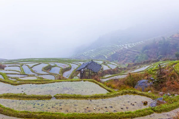 Longji Zhuang terraço étnico vista sensery com nevoeiro, Guilin, Chi — Fotografia de Stock