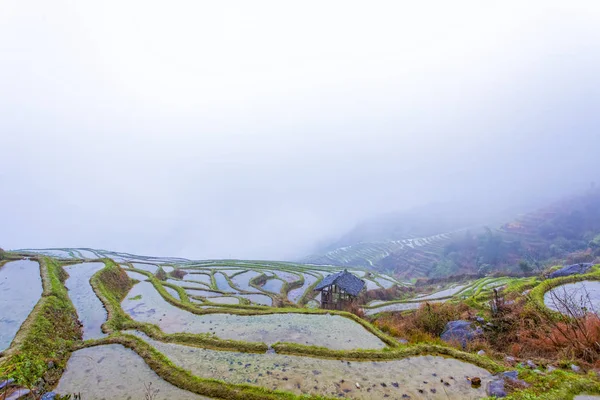 Longji Zhuang etniska terrass sensery Visa med dimma, Guilin, Chi Stockfoto