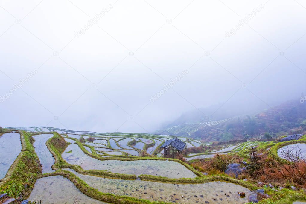 Longji Zhuang ethnic terrace sensery view with fog , Guilin, Chi