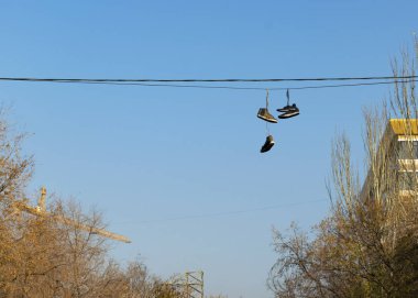 Eski yırtık spor ayakkabılar şehrin mavi gökyüzüne karşı elektrik kablolarına tutunur..