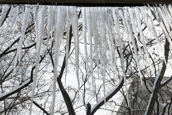 Παγοκολώνες κρέμονται από την οροφή ενός κτιρίου κατοικιών. Επικίνδυνος μεγάλος παγοκρύσταλλος μπορεί να προκαλέσει ατύχημα το χειμώνα. Ο παγοκρύσταλλος πέφτει. — Φωτογραφία Αρχείου