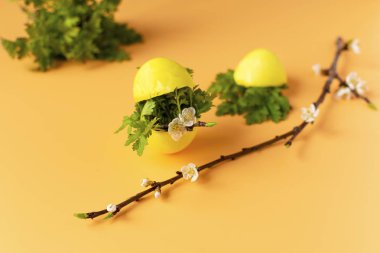 Taze yeşil çimenli renkli yumurtalar ve turuncu arka planda çiçek açan ağaç dalı. Paskalya bayramı, aile gelenekleri. Paskalya yumurtaları