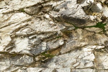 Taş zemin ve yeşil yosun. Taşın dokusu ve yüzeyi