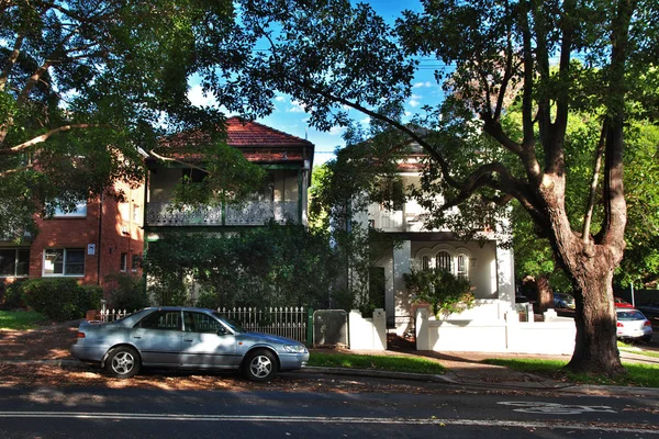 Shady street and houses in the suburbs of Sydney, Australia