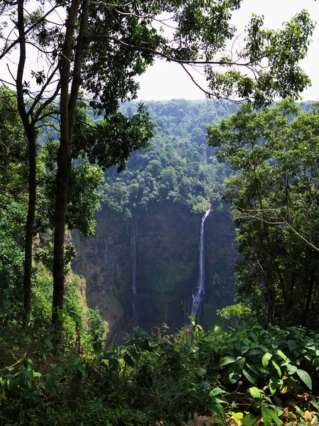 The waterfall in Jungle, Laos